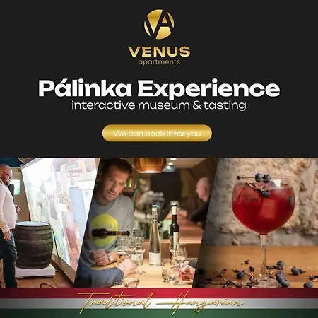 Apartment Venus - The Actor's Den *